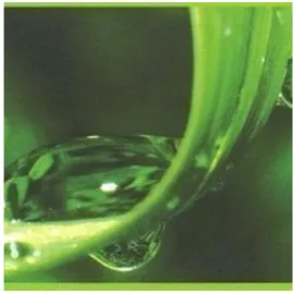 A.S. Creations As Creation Tapeten Only Borders 9 905611