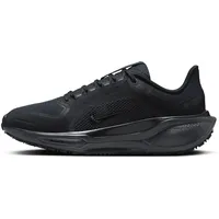 Nike Damen Pegasus 41 GTX schwarz 38.0