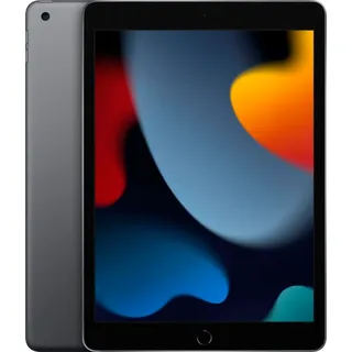 256 GB Wi-Fi space grau