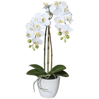 Kunstpflanze Orchidee Phalaenopsis Orchidee, Creativ green, Höhe 43 cm, im Keramiktopf weiß