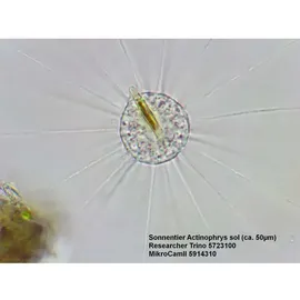 Bresser Researcher Trino 40-1000x