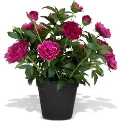 Künstliche Paeonia - Pfingstrosen Höhe 86 cm pink