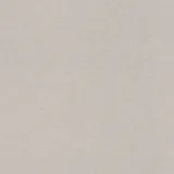Rasch Textil Rasch Vliestapete Bambino XIX 252859 Uni Hellgrau 10,05 m x 0,53 m