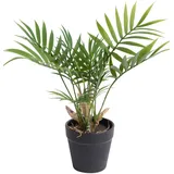 Botanic-Haus Künstliche Zimmerpflanze BOTANIC-HAUS (Chamaedorea Palme", grün,
