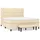 vidaXL Boxspringbett 160 x 200 cm Creme