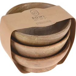 Schalen-Set MANGOHOLZ - braun