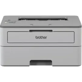 Brother HL-B2180DW (HLB2180DWYJ1)
