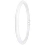 Osram LED EEK: E (A - G) G10q Ringform 24W = 40W Neutralweiß (Ø x L) 400mm x 400mm 1St.