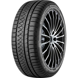 GT Radial Champiro Winterpro HP 205/45 R17 88V