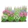 Dehner Bio Stauden-Set 12-teilig, Rosa, Weiß