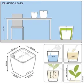 LECHUZA Quadro LS 43 Komplettset 43 x 43 x 40 cm anthrazit metallic