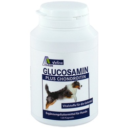 Glucosamin+chondroitin Kapseln für Hunde