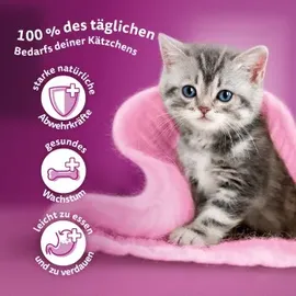 Whiskas Junior Huhn 800 Gramm Katzentrockenfutter