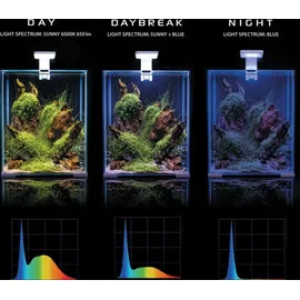 AquaEl Shrimp Set Day & Night", 20 schwarz