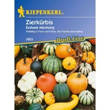 Kiepenkerl Kiepenkerl, Zierkürbis, Cucurbita pepo Essbare im Mix