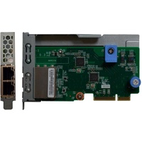 Lenovo DCG ThinkSystem 1Gb 2-port RJ45 LOM