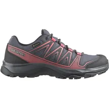 Salomon Kynthos GTX 42 Grau