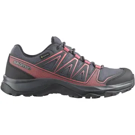 Salomon Kynthos GTX 42 Grau