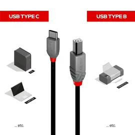 Lindy USB-Kabel USB 2.0 USB-C® Stecker, USB-B Stecker 0.50 m
