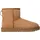 Chestnut 42