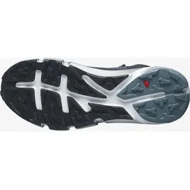 Salomon Predict Hike Mid GTX Herren, grau, Größe 42 2⁄3 - 42 2/3