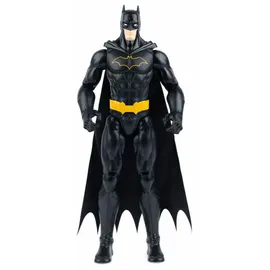 Spin Master DC Actionfigur sortiert
