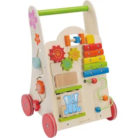 EverEarth Activity Walker