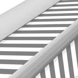 Eclipse Kassettenmarkise Eclipse 295 x 250 cm grau