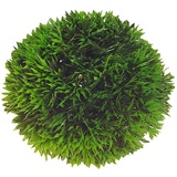 HOBBY Plant Ball, 9 cm