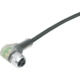 BINDER 77 3634 0000 50003-0500 Sensor-/Aktor-Steckverbinder, konfektioniert Buchse, gewinkelt m Polzahl Sensoren: 3 1 St.