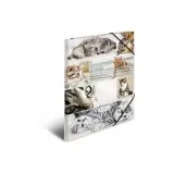 Herma Sammelmappe Tiere A3 katzen