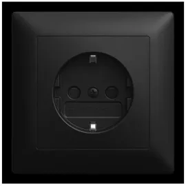 Busch-Jaeger Schuko-Steckdose 20 EUJB-915 Schwarz 1 St.