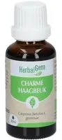 HERBALGEM - Charme Bio Complément Alimentaire Extrait De Bourgeon Frais Pour Voies Respiratoires & Circulation Sanguine 30 ml Goutte(S)