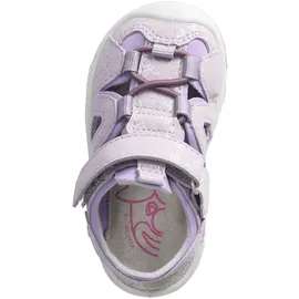 Pepino Gary Lila 25