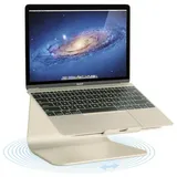 Rain Design mStand 360 gold