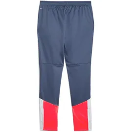 Puma individualCUP Trainingshose Weiss F53