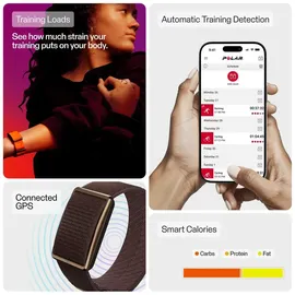 Polar Loop braun