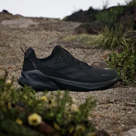 adidas Terrex Trailmaker 2 GTX Herren Core Black/Grey Four/Carbon 40 2/3