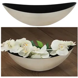 Cepewa Dekoschale │ 39x13x12cm Kunststoff Champagner schwarz │ Pflanzschale in Bootsform (1 x oval Champagner schwarz
