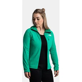 The North Face Summit Futurefleece Hoodie Jacke (Größe S,