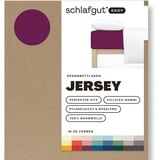 schlafgut Easy Jersey 180 x 200 - 200 x 200 cm purple deep