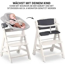 hauck Beta Plus Set (Hochstuhl)
