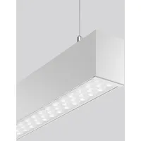 RZB LINEDO 1-flg. 31 W 4000 K silber transparent