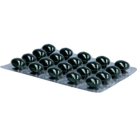 Alsitan Alsidiabet Diabetiker Mikro Durchblutung Kapseln