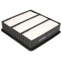 Filtron Luftfilter