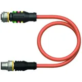 Turck Aktuator- u. Sensorleitung RKC4.4T-P #6634656