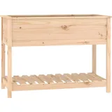 vidaXL Pflanzkübel mit Ablage 111,5 x 54 x 81 cm Braun