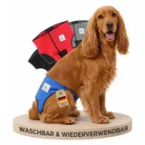 NATURE PET Premium Läufigkeitshose für Hündinnen – Hochwertige & Bequeme Hundewindeln für Hündinnen & Rüden – Waschbare Inkontinenz-Hundewindel ohne Einfädeln der Rute – S–L/Blau