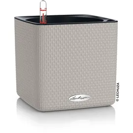 LECHUZA Cube Color 16 Komplettset 17 x 17 x 16 cm sandbraun