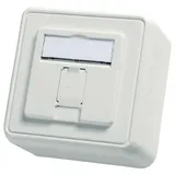 Telegärtner Modul-Aufnahme 1-fach AP 80x80